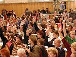 Abstimmung auf dem Geraer Parteitag; Foto: Axel Hildebrandt