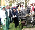 Historische Kartoffel-Sortiermaschine auf dem Altmarzahner Erntefest; Foto: Axel Hildebrandt