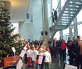 Bio-Weihnachtsbaum im Marie-Elisabeth-Lüders-Haus; Foto: Axel Hildebrandt